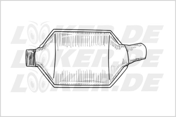 Kat PSA 24 - Klasse XL